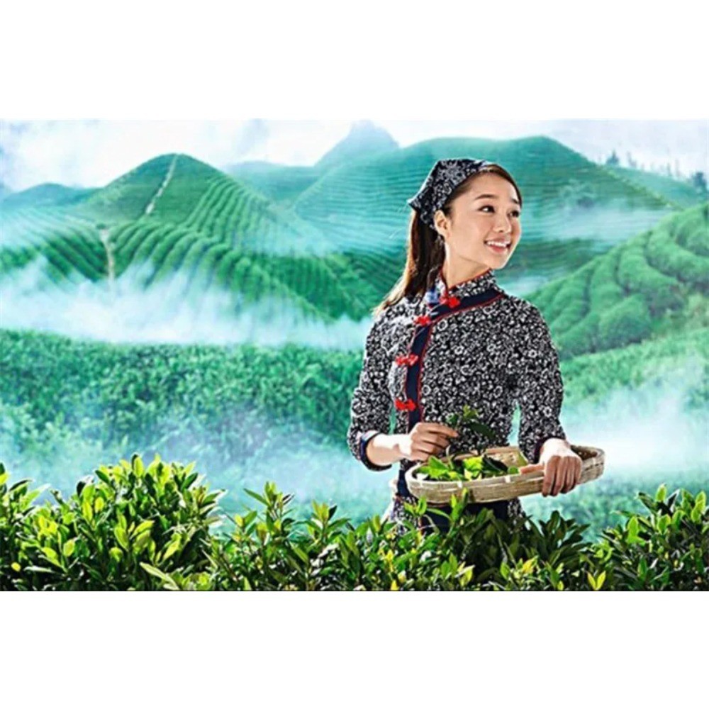 Organic Japanese Matcha Green Tea Powder Natural Energy Herbal Drink 100g