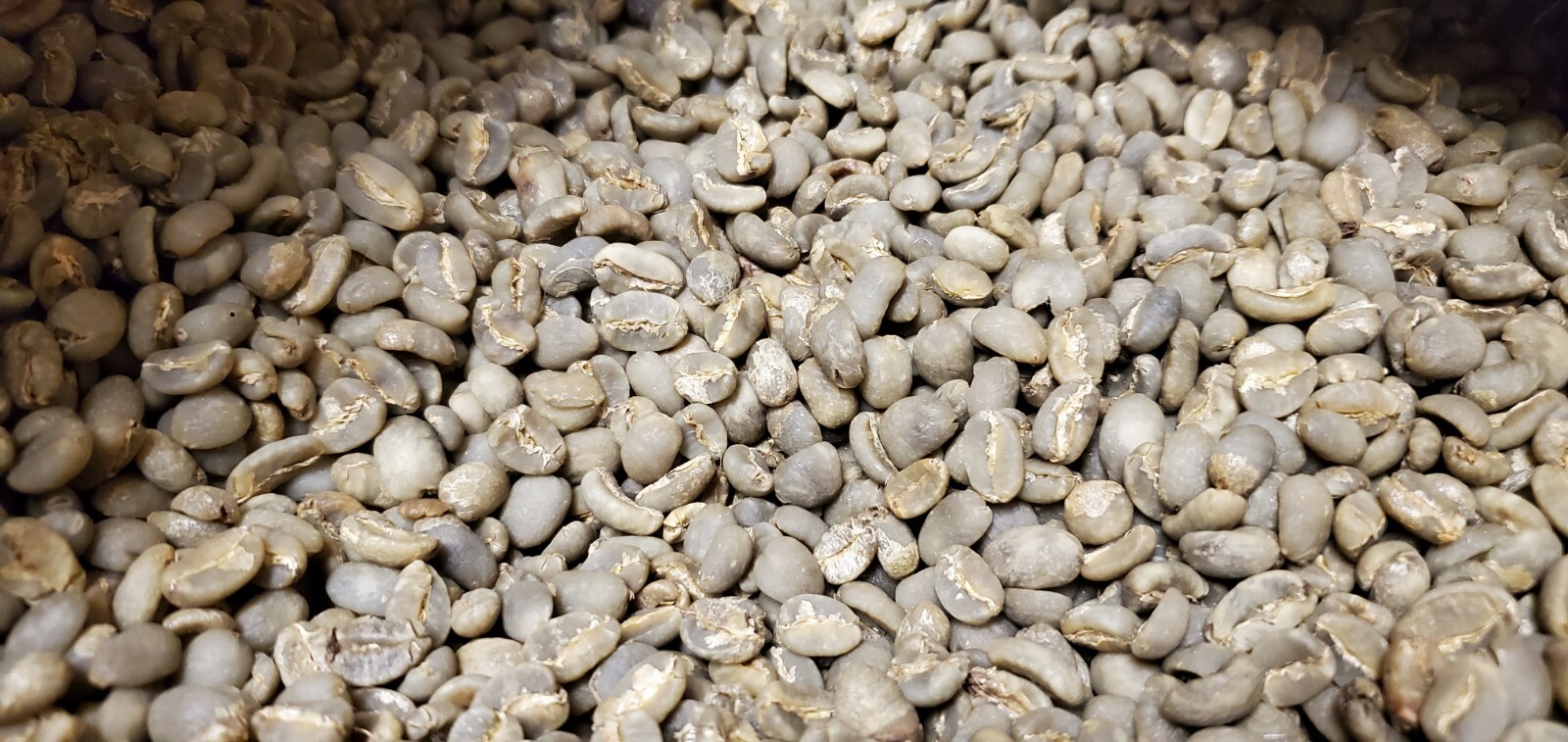 5 LB INDONESIA SUMATRA MANDHELING UNROASTED GREEN COFFEE BEANS – ARABICA