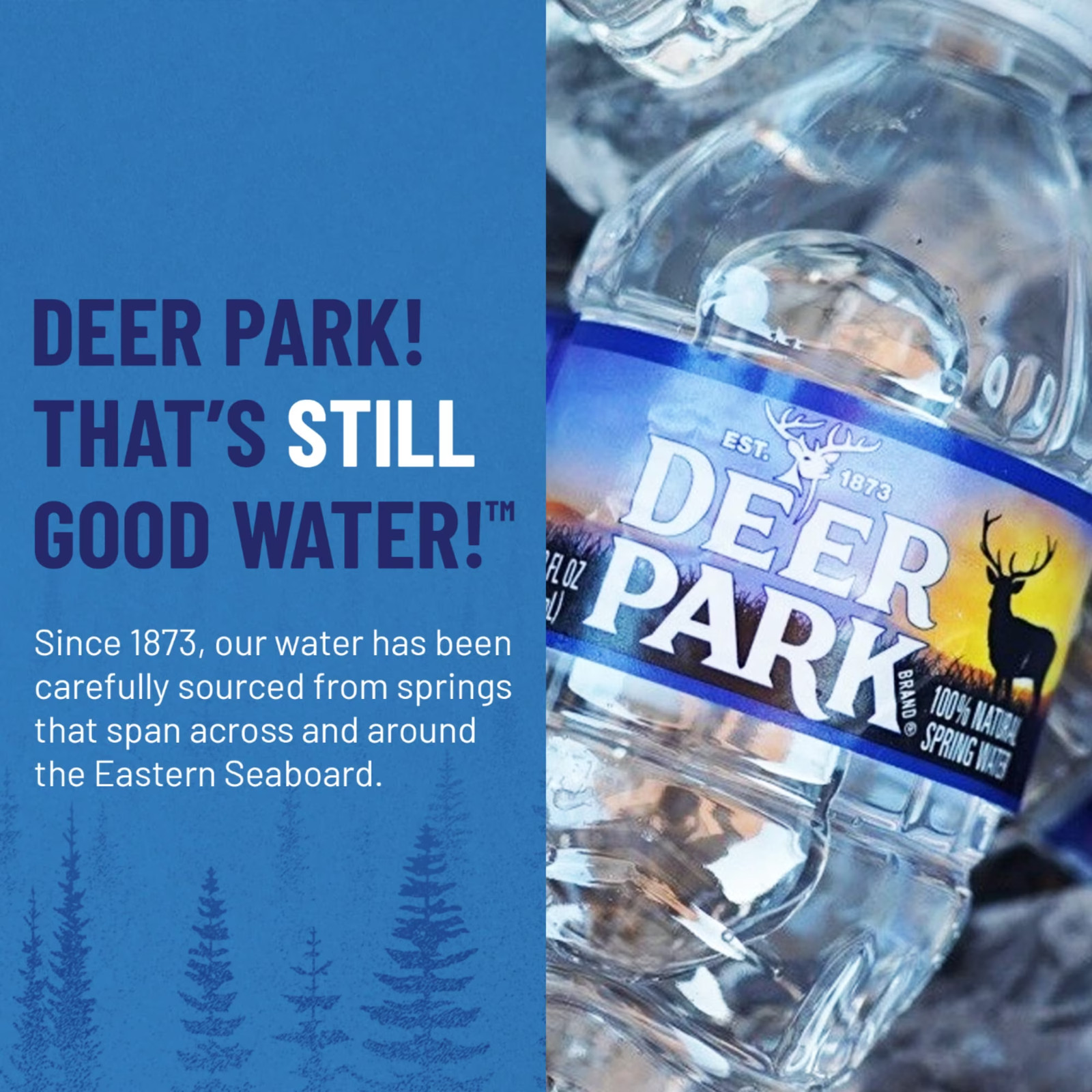 Deer Park Spring Water, 12 fl oz, 12-pack Plastic Bottles(2 pack) -Free Shipping
