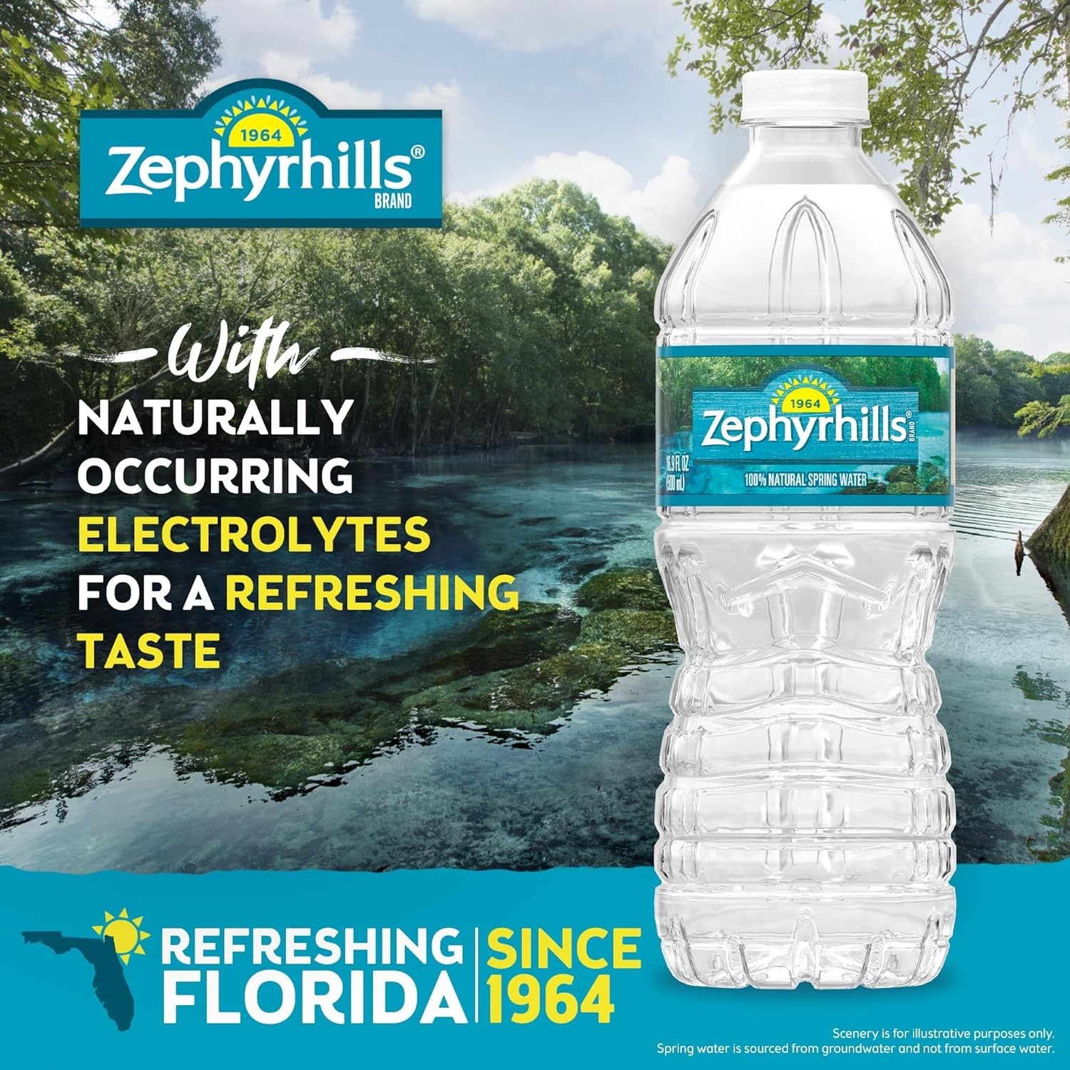 Zephyrhills Natural Spring Water – 16.9 fl oz Bottles (12 Pack)