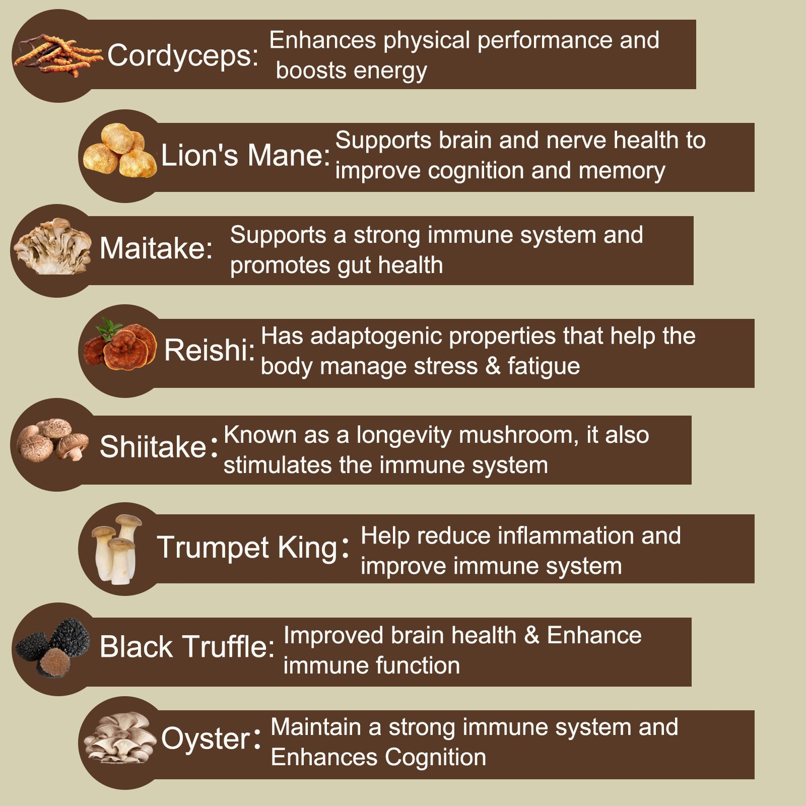 14 Mushroom Blend Powder Organic Coffee 14oz Reishi Lions Mane Cordyceps Maitake
