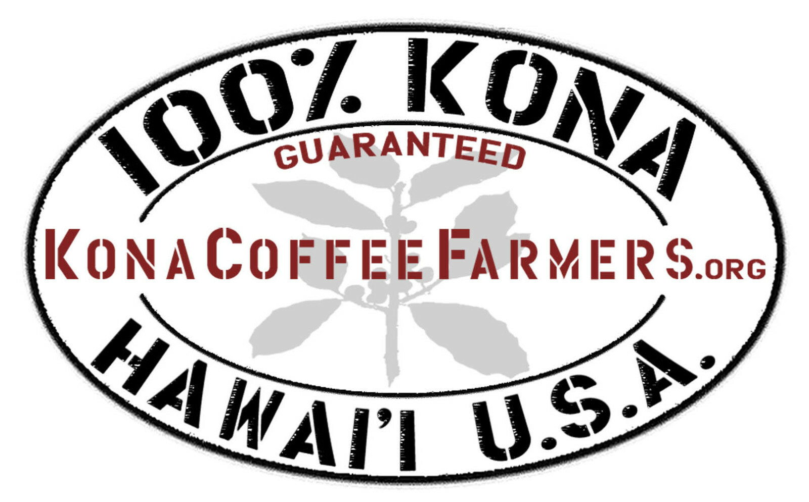 100% Hawaiian Kona Coffee Beans Medium Roasted Daily 10 Bags Each 1 Pound Bag