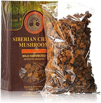 Siberian Chaga Mushroom Chunks, Premium Quality, Wild Harvested, 100 Grams (3.5