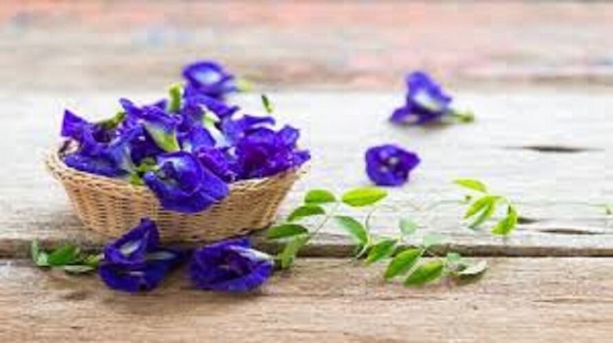 Blue Butterfly Pea Flower Tea loose leaf 100% Natural Organic Thai Herb 50g