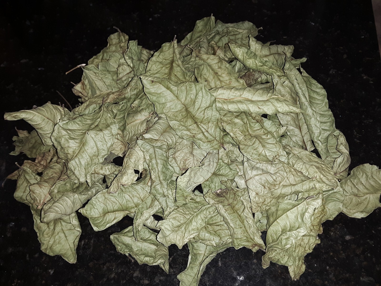 1 Cup Air Dried Guava Leaves; Herbal Tea.US grown.