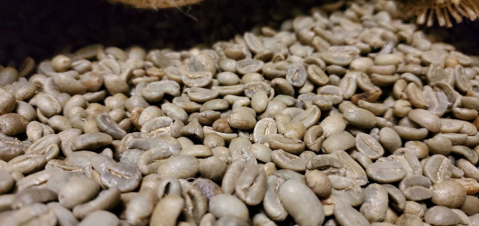 5 LBS PAPUA NEW GUINEA UNROASTED GREEN COFFEE BEANS – ARABICA