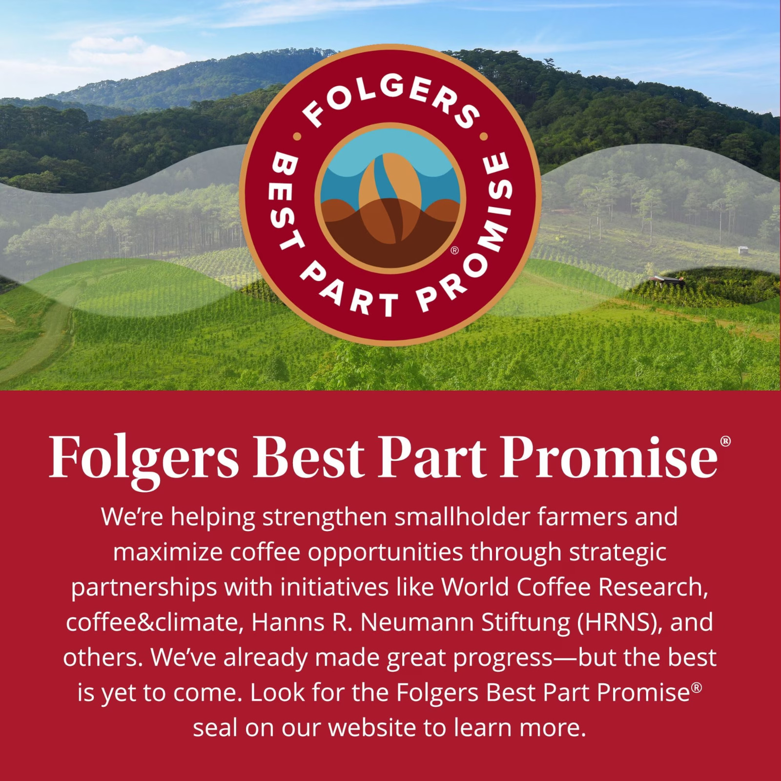 NEW 4 pack Folgers Simply Smooth Ground Coffee, Mild Roast, 11.5 oz Canister