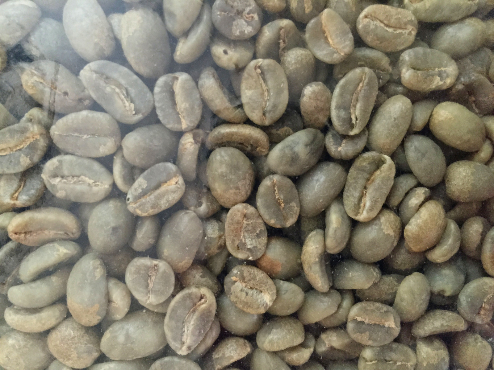 4 lbs. Colombia supremo 17/18 green coffee beans for home roasters