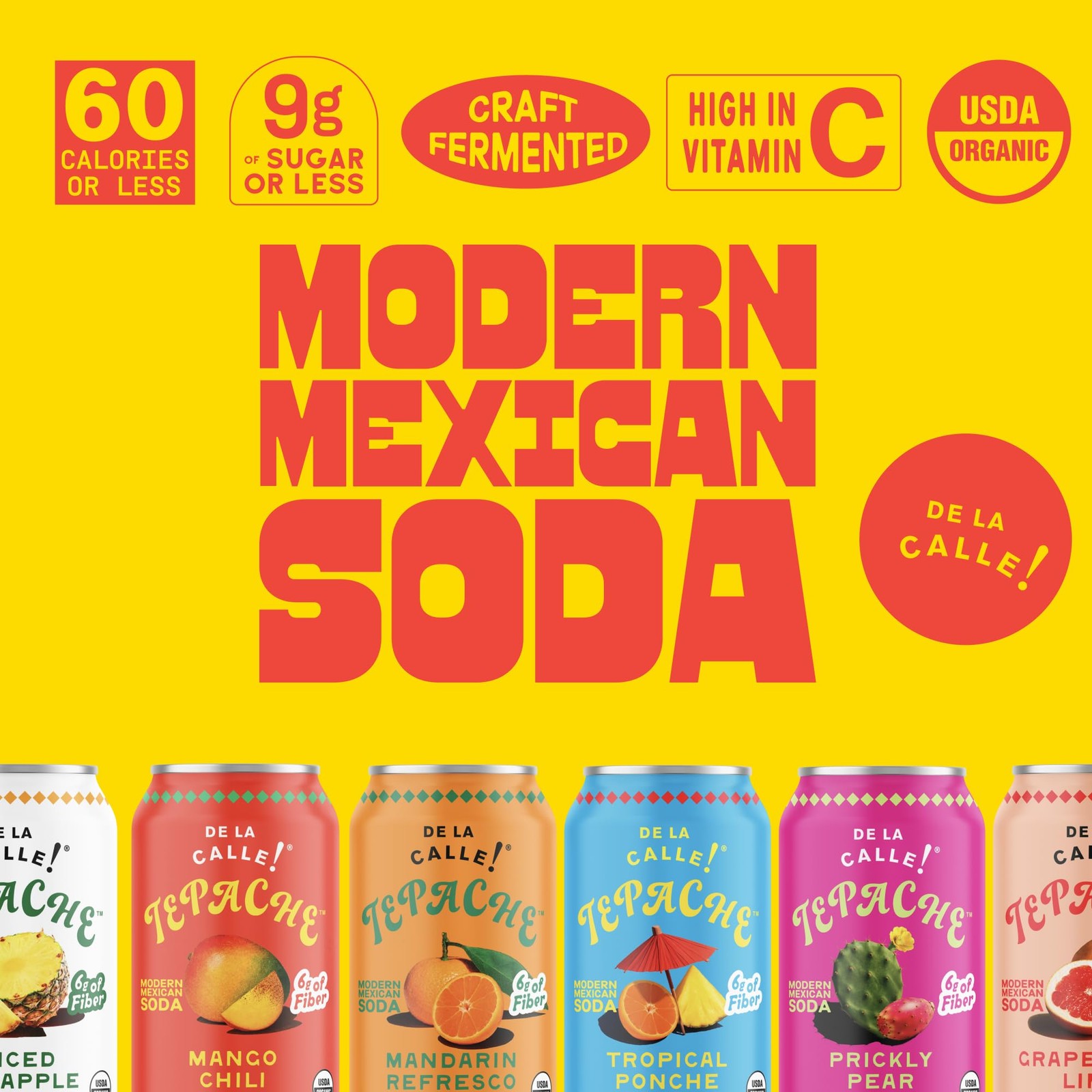 De La Calle Tepache Mixta Variety Pack Modern Mexican Soda Craft Fermented…