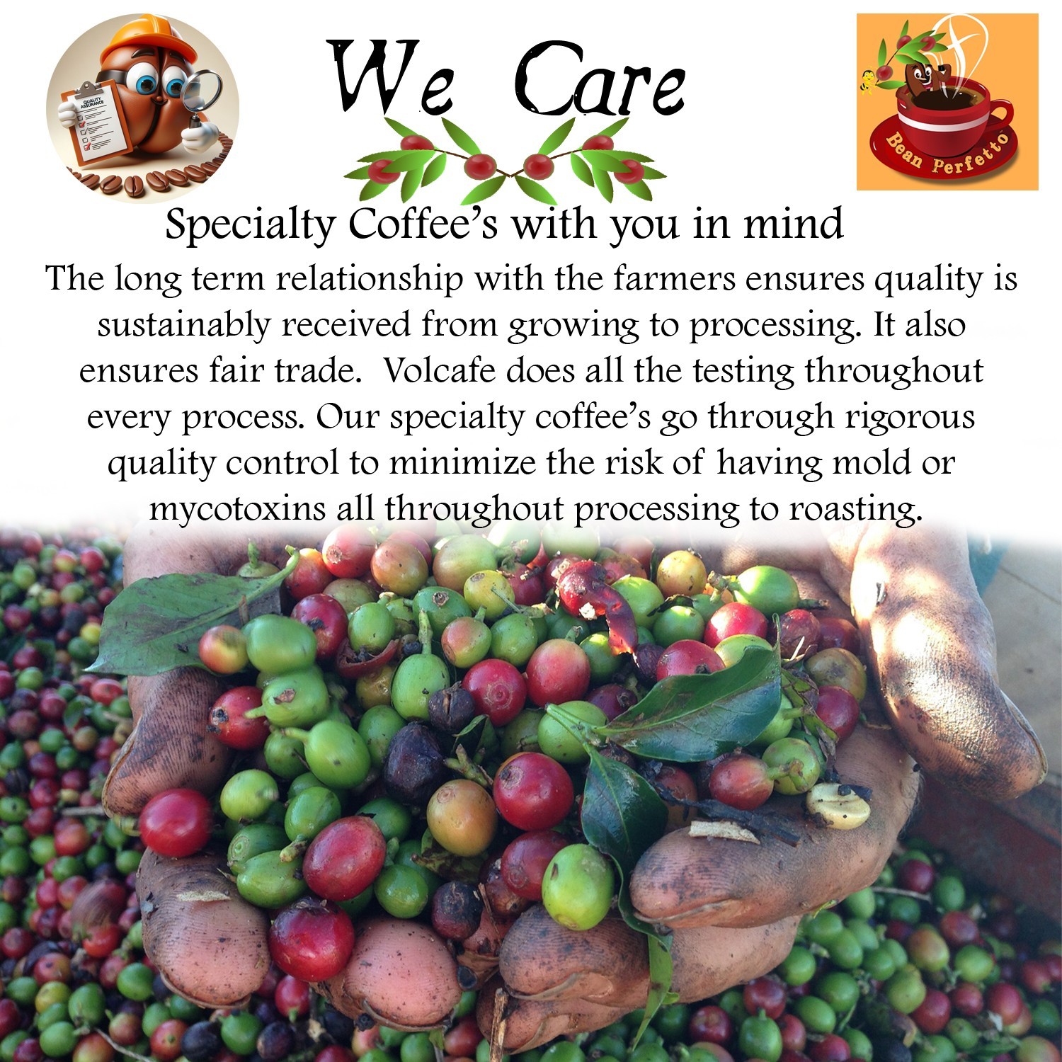 2 lb Uganda Rwenzori Kasese Natural Fresh Roasted Coffee Whole Bean