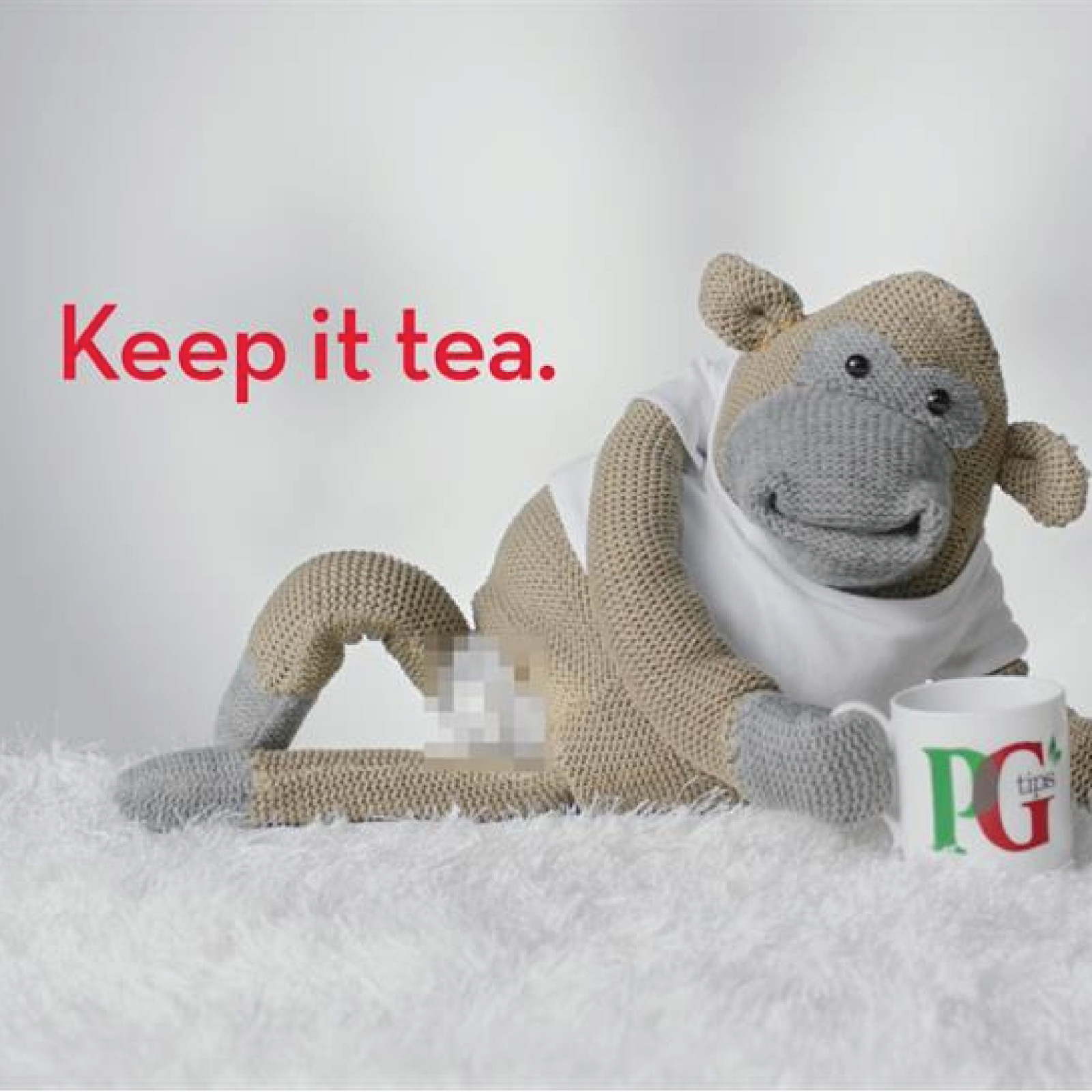 PG Tips 240 Tea Bags Pack of 2 – Damaged Box, Open Packaging, Fresh Inside