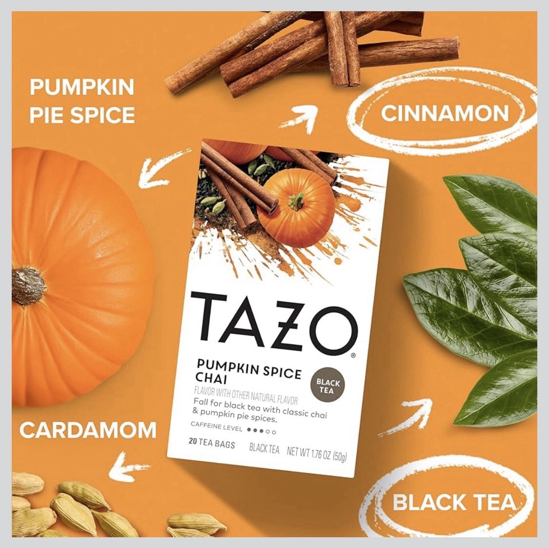 TAZO Pumpkin Spice Chai Black Tea With Classic Chai & Pumpkin Pie Spices 2 Box
