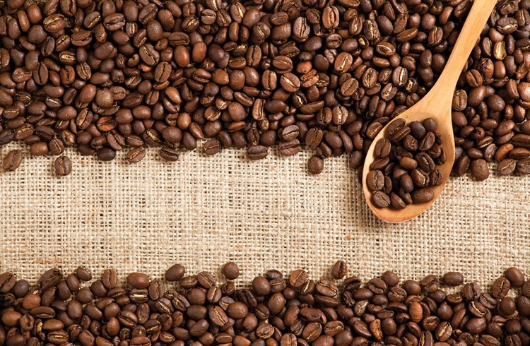 100% KOPI LUWAK Coffee 100 grams 100% A U T H E N T I C (over 200 sold)