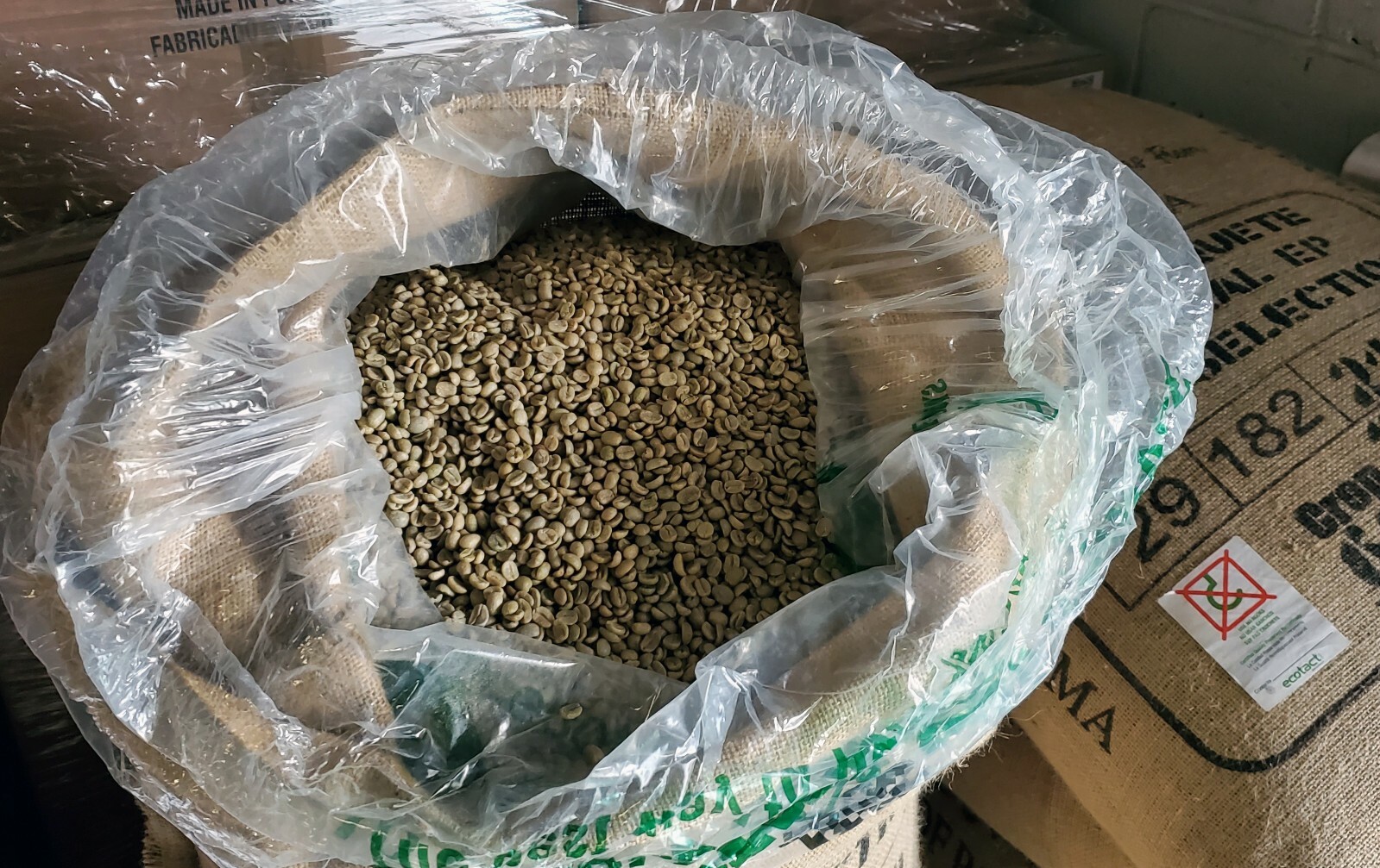 5 LBS PANAMA BOQUETE GREEN UNROASTED COFFEE BEANS – ARABICA