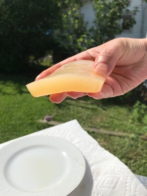 IBIV Live Organic Kombucha Scoby Over 1/4 Cup Strong Starter Tea 3.2′- 4″ SCOBY