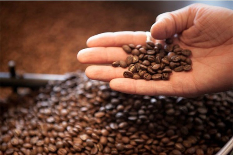 5 LBS OF WHOLE BEAN ESPRESSO FRESH, ROAST TO ORDER COFFEE – MEDIUM ROAST