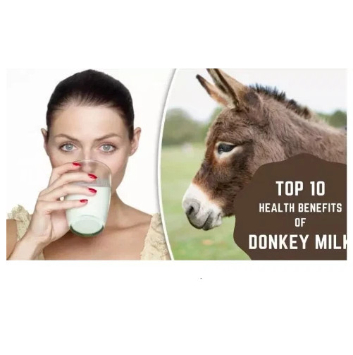 100% NATURAL HERBS DONKEY MILK POWDER FREEZE DRIED (3.05 OZ) 100 GM