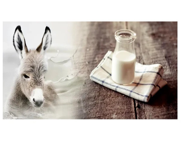 100% NATURAL HERBS DONKEY MILK POWDER FREEZE DRIED (3.05 OZ) 100 GM