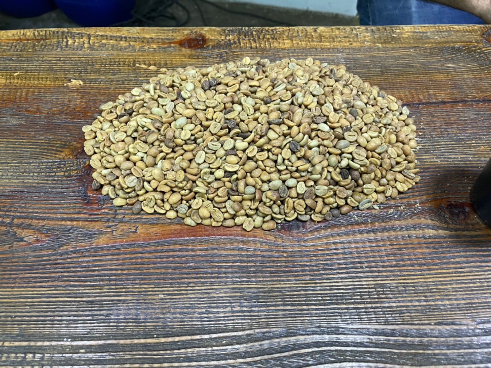 5 lb COLOMBIAN MEDIUM ROAST COFFEE BEANS – ARABICA