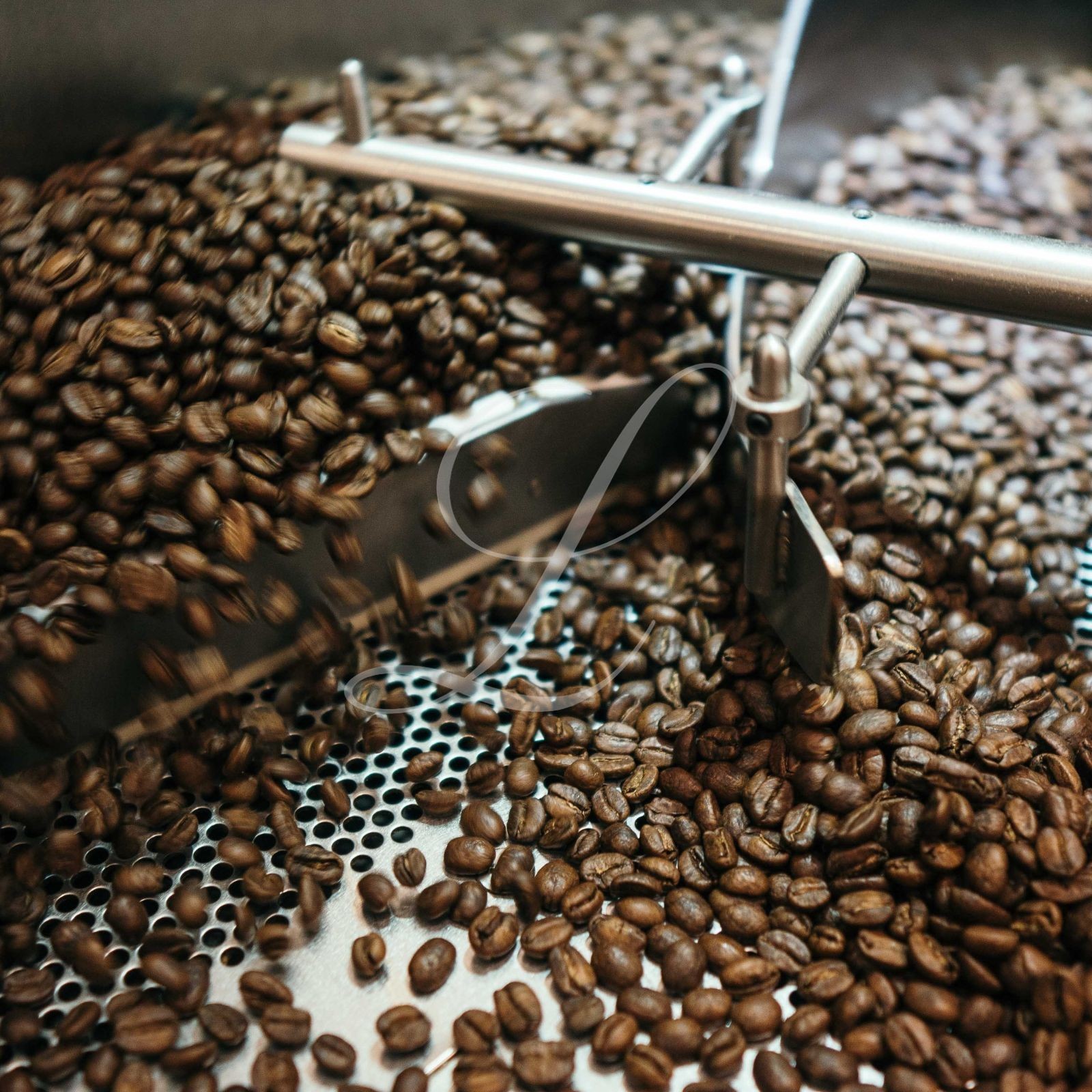 5 lbs of AUTHENTIC & FRESH Jamaica Blue Mountain Coffee – Customize Your Roast!