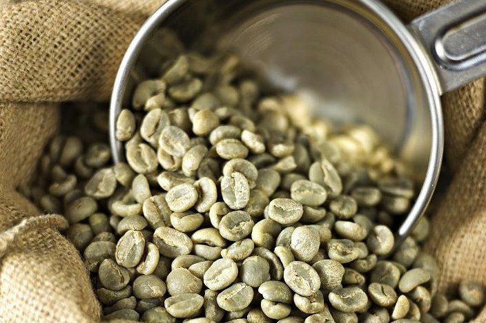 5 LB Green Coffee Beans – Honduras