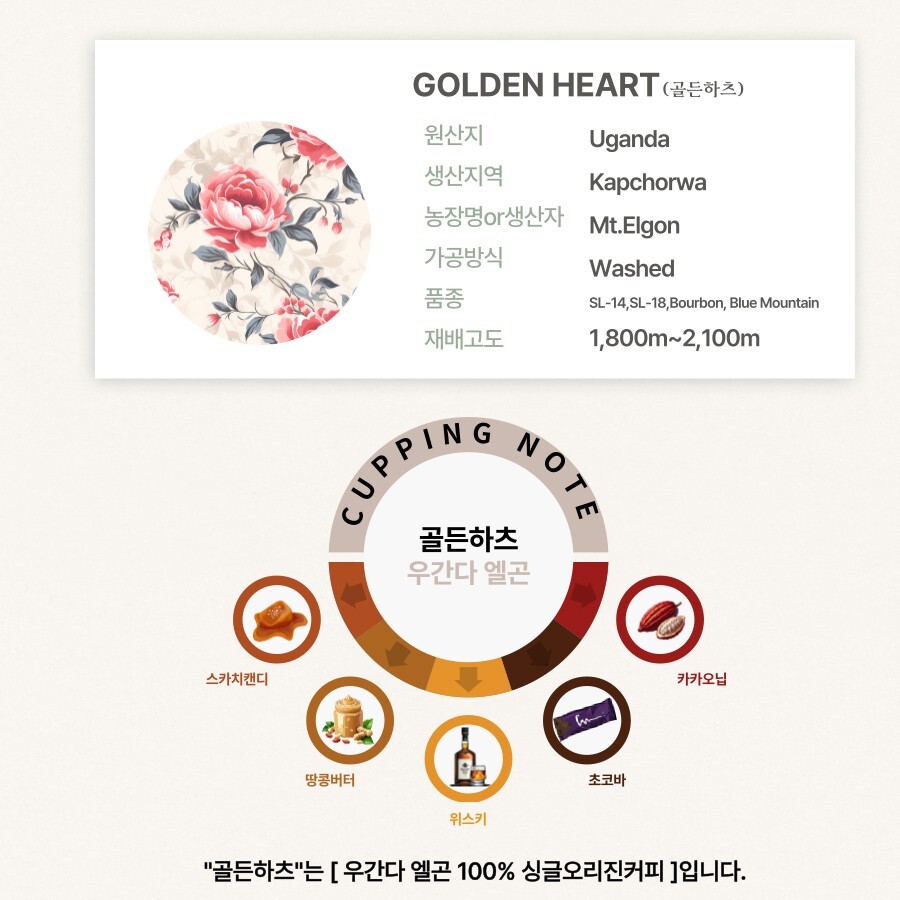 Specialty grade Uganda elgon Dripbag coffee from KOREA. 10pcs.
