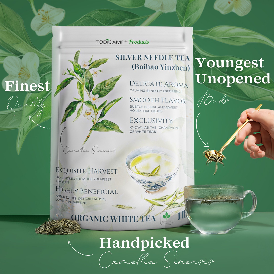 TODICAMP USDA Organic Silver Needle Tea – 16 Ounces of Premium Silver Needle Tea