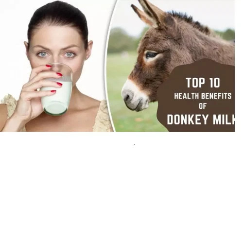 (PACK OF 2) 100% NATURAL HERBS DONKEY MILK POWDER FREEZE DRIED 100 GM