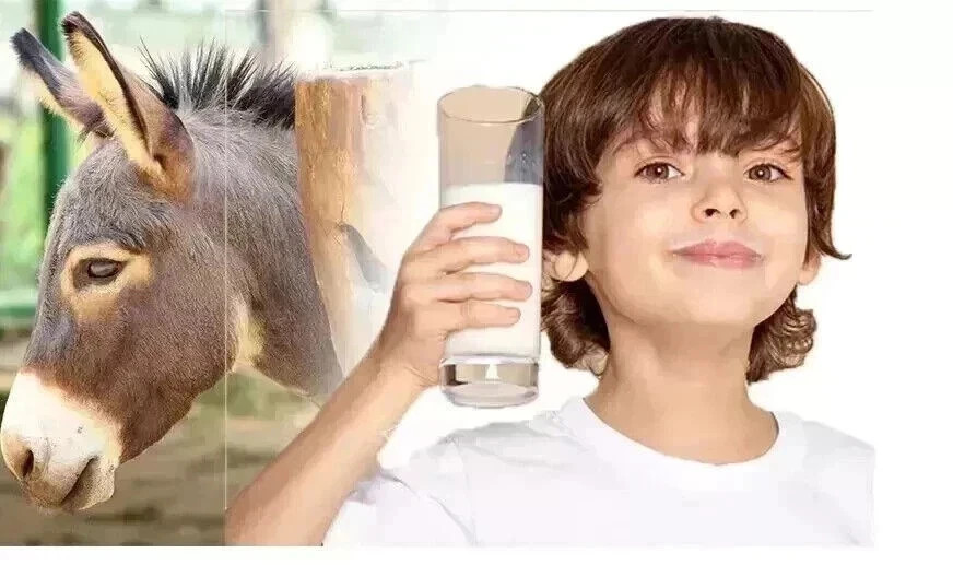 Organic Prime Donkey Milk Powder 100% Pure Natural