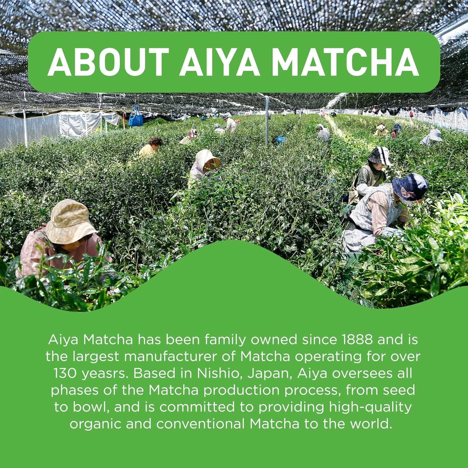 Aiya Certified USDA Organic Culinary Grade Matcha Green Tea Powder 100 g