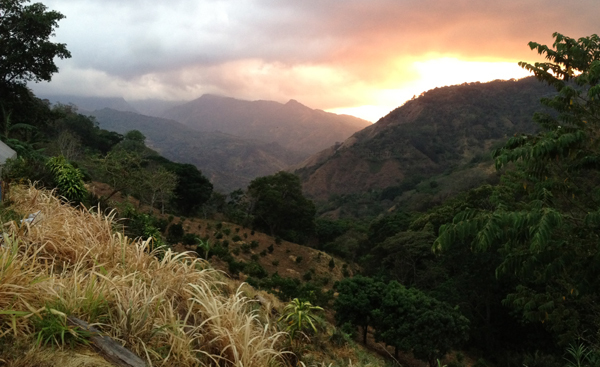 Guatemalan Huehuetenango Coffee Beans Dark Roasted Fresh Beans 5lb | 2026 Crop