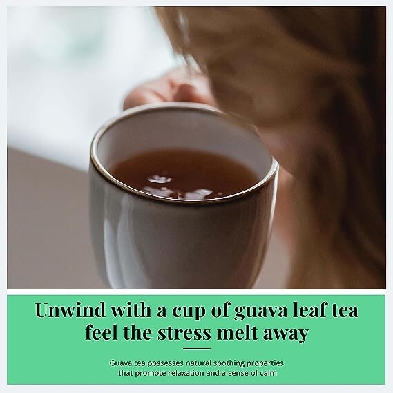 225 Guava Tea Bags, Made From 100% Pure Guava Leaves, Caffeine Free, Herbal Tea