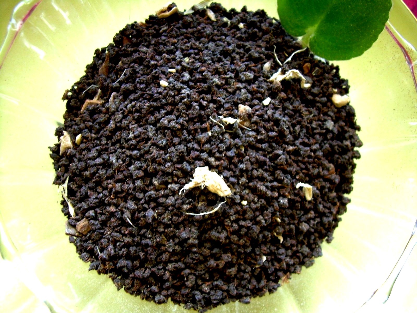 Gourmet Tea Masala Chai Blend India & Kenya Origin Perfect Spiced Flavor Profile