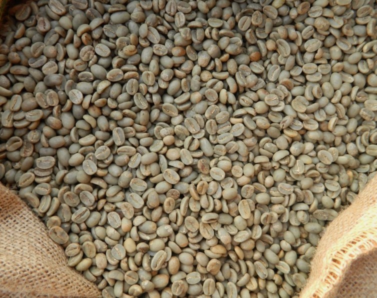 5 LB COLOMBIA COLOMBIAN UN-ROASTED FRESH GREEN COFFEE BEANS – ARABICA