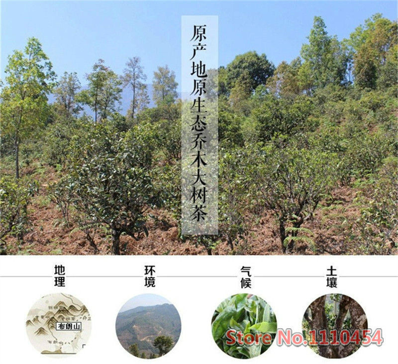 100g 50 Yr Mini Tuocha Yunnan Old Pu’er Tea Natural Herbal Detox Energy
