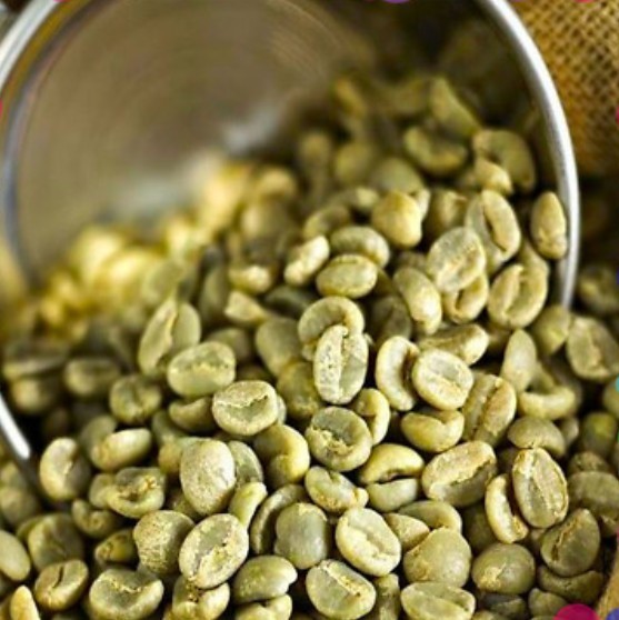 5 LB COLOMBIA COLOMBIAN UN-ROASTED FRESH GREEN COFFEE BEANS – ARABICA