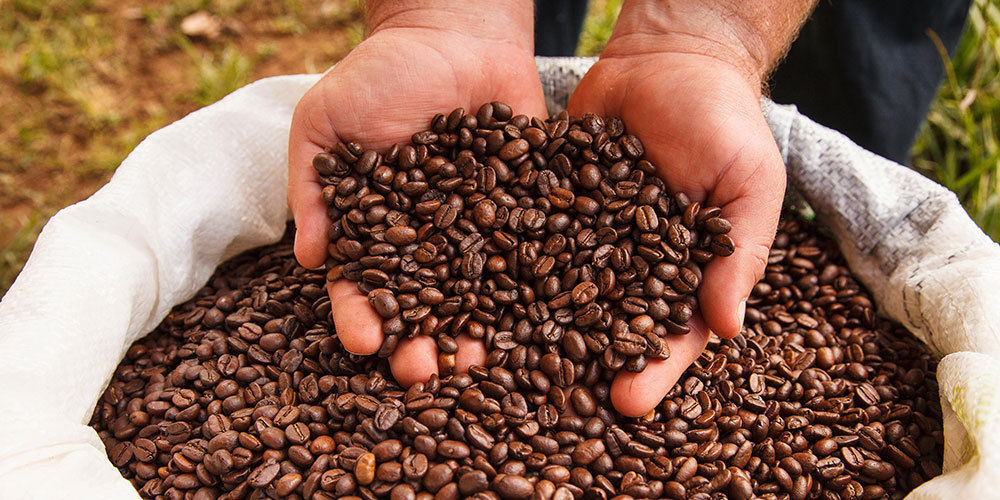 1 LB COLOMBIA EXCELSO DECAF SAMPLE COFFEE ROASTED WHOLE BEAN, GROUND – ARABICA