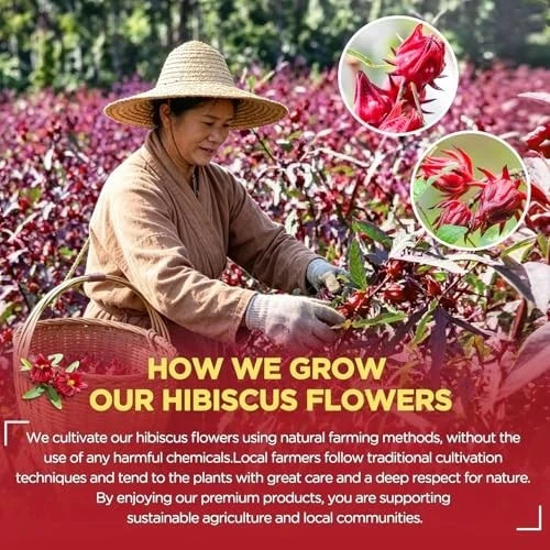 Hibiscus Tea Bags 100 Count – 100% Pure Natural Dried Hibiscus Flowers US