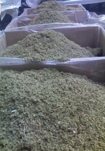 DAMIANA herb tea bulk leaf c/s cut organic tea brew wild crafted WHOLESALE