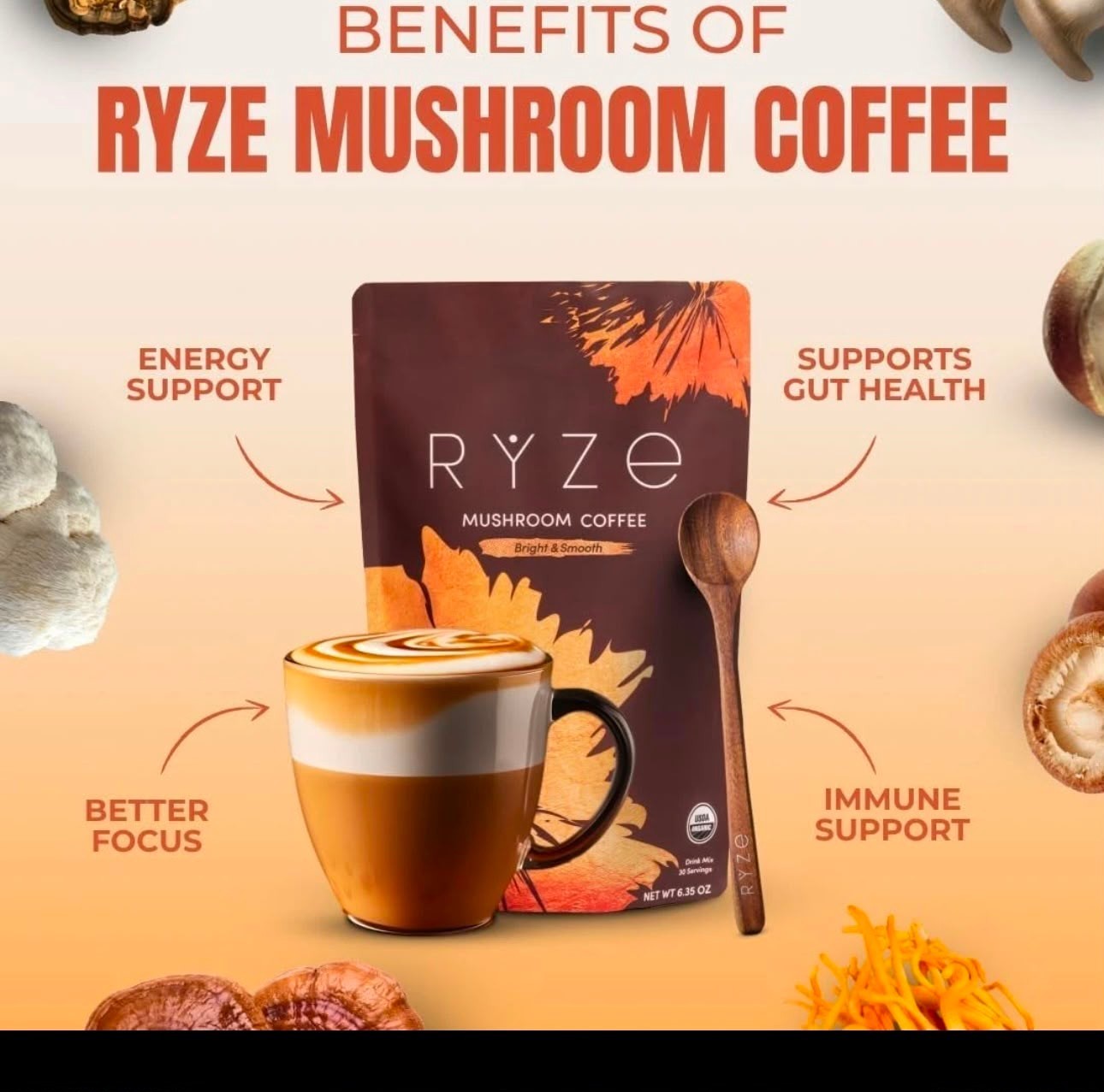 Organic Ryze Mushroom Coffee Bright & Smooth 30 Servings Blend + NO IMPORT FEES