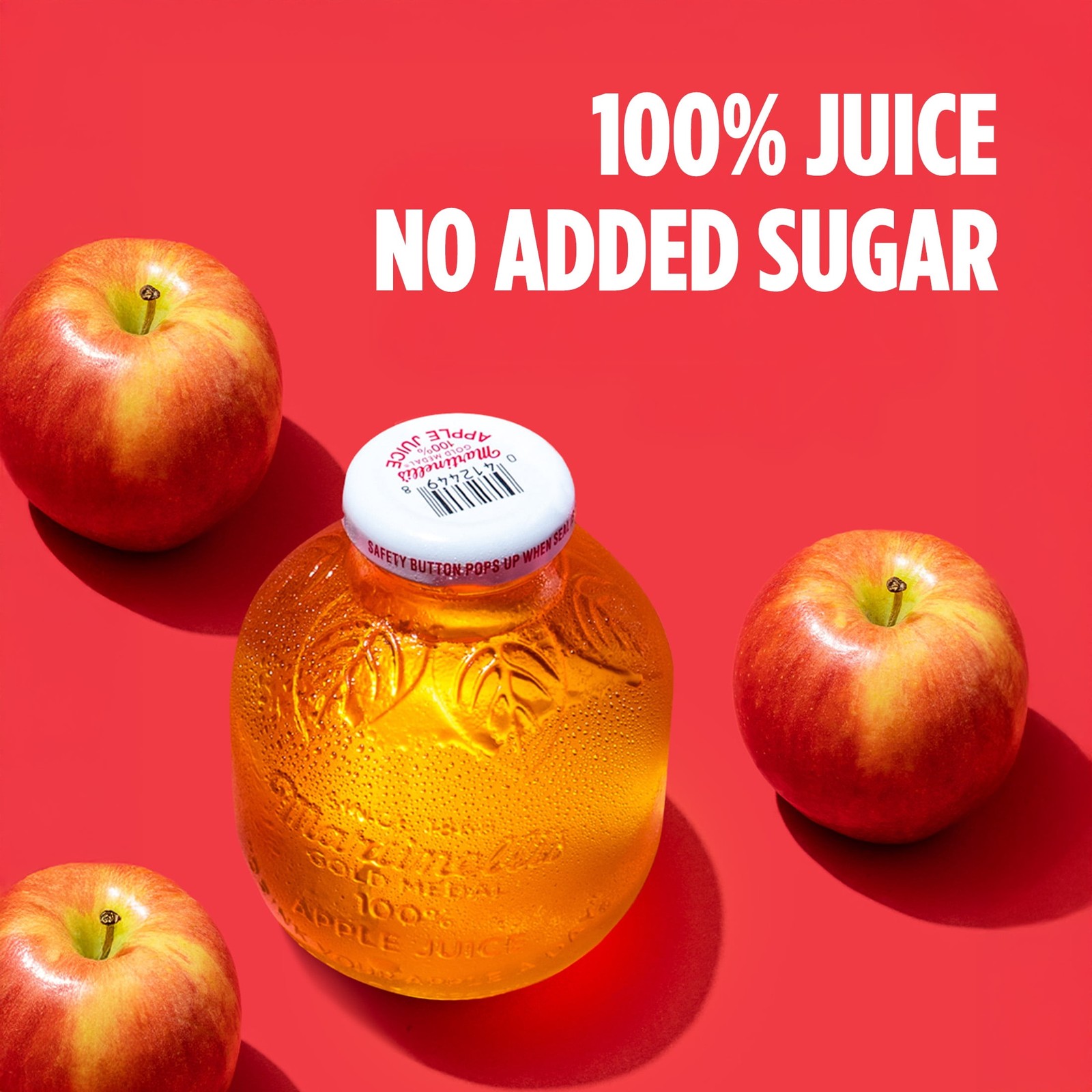 Apple Juice 10 fl oz Glass Bottle 4 Count Fruit Beverage Supply