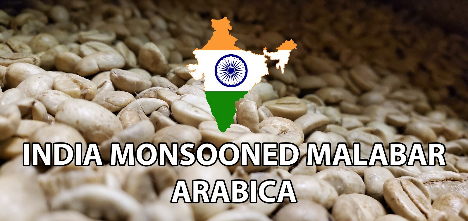 5 LB INDIA MONSOON MALABAR MONSOONED UNROASTED GREEN COFFEE BEANS – ARABICA