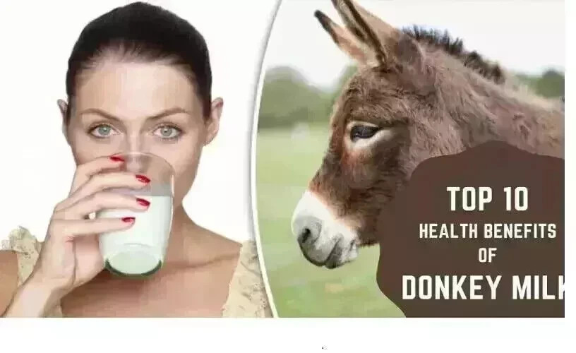 100% PURE NATURAL HERBS DONKEY MILK POWDER FREEZE DRIED 50 GRAM (1.76oz)