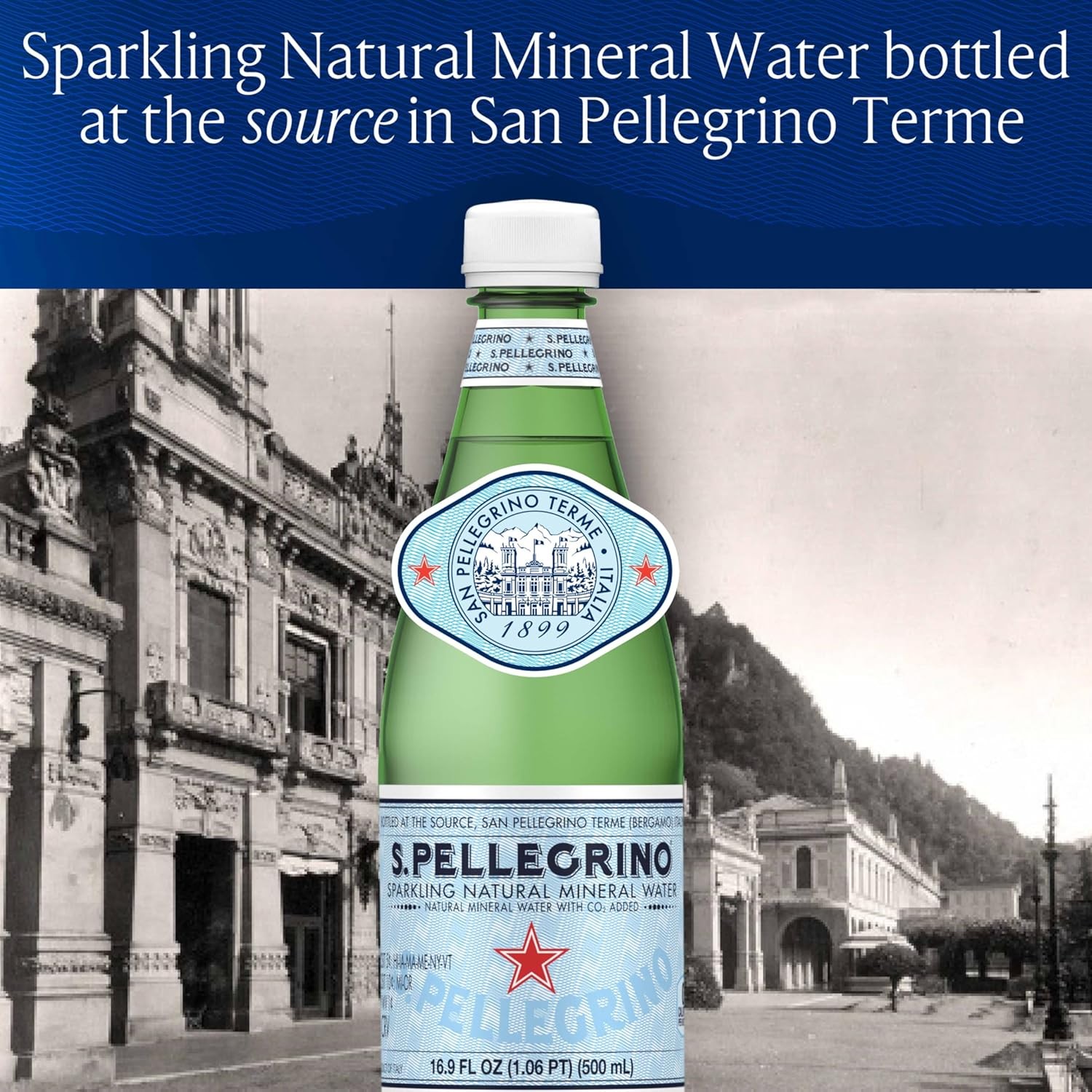 S.Pellegrino Sparkling Natural Mineral Water, Plastic Bottles, 16.9 Fl Oz (Pack
