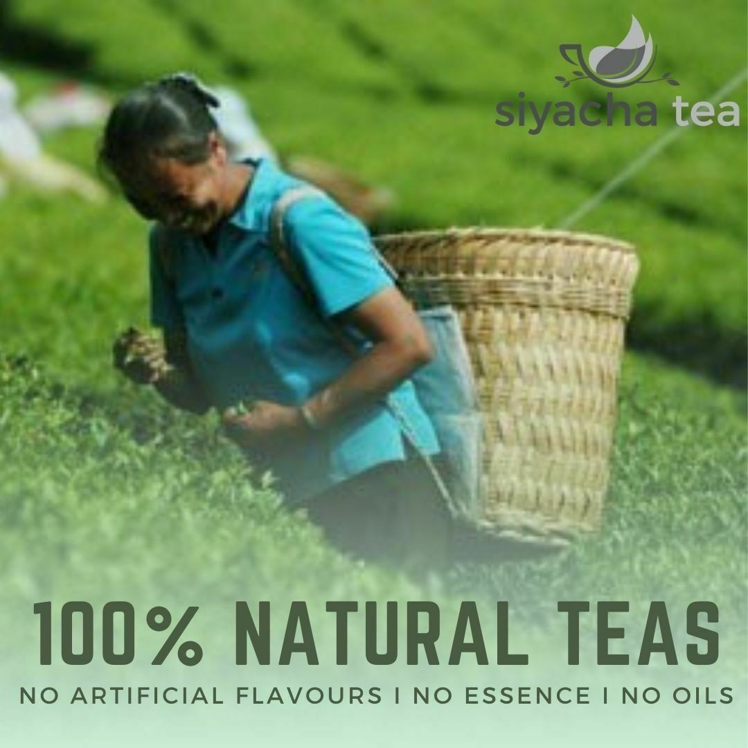 Assam Black Tea Dejoo SFTGFOP Special Clonal Tips 2024 Second Flush Fresh Leaf