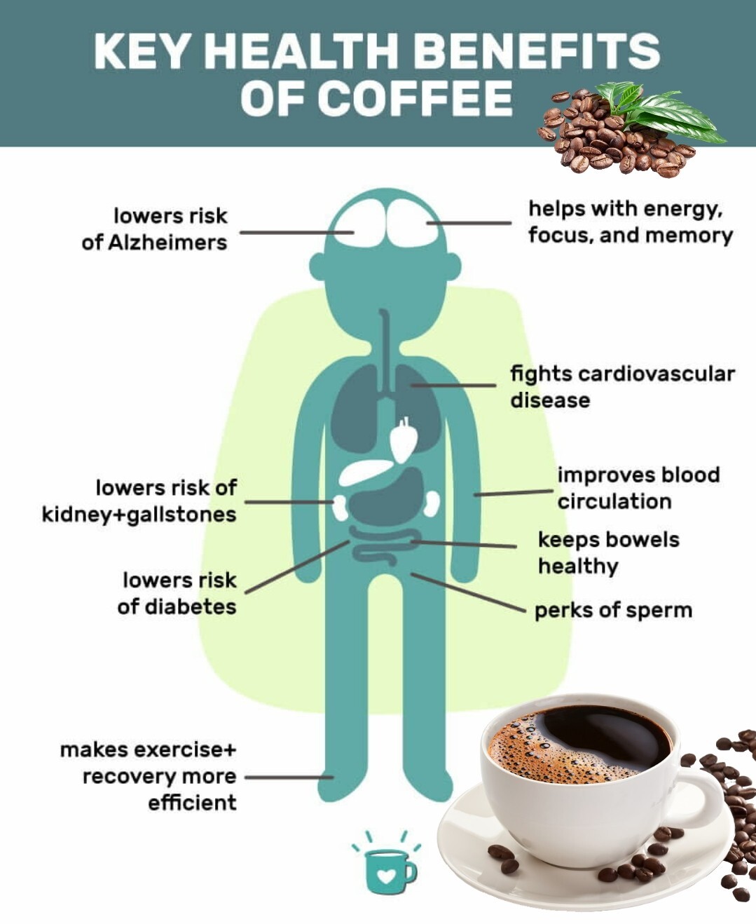 HARISCHANDRA Ceylon Black Coffee Powder Natural Pure Organic 20g/50g/100g/200g