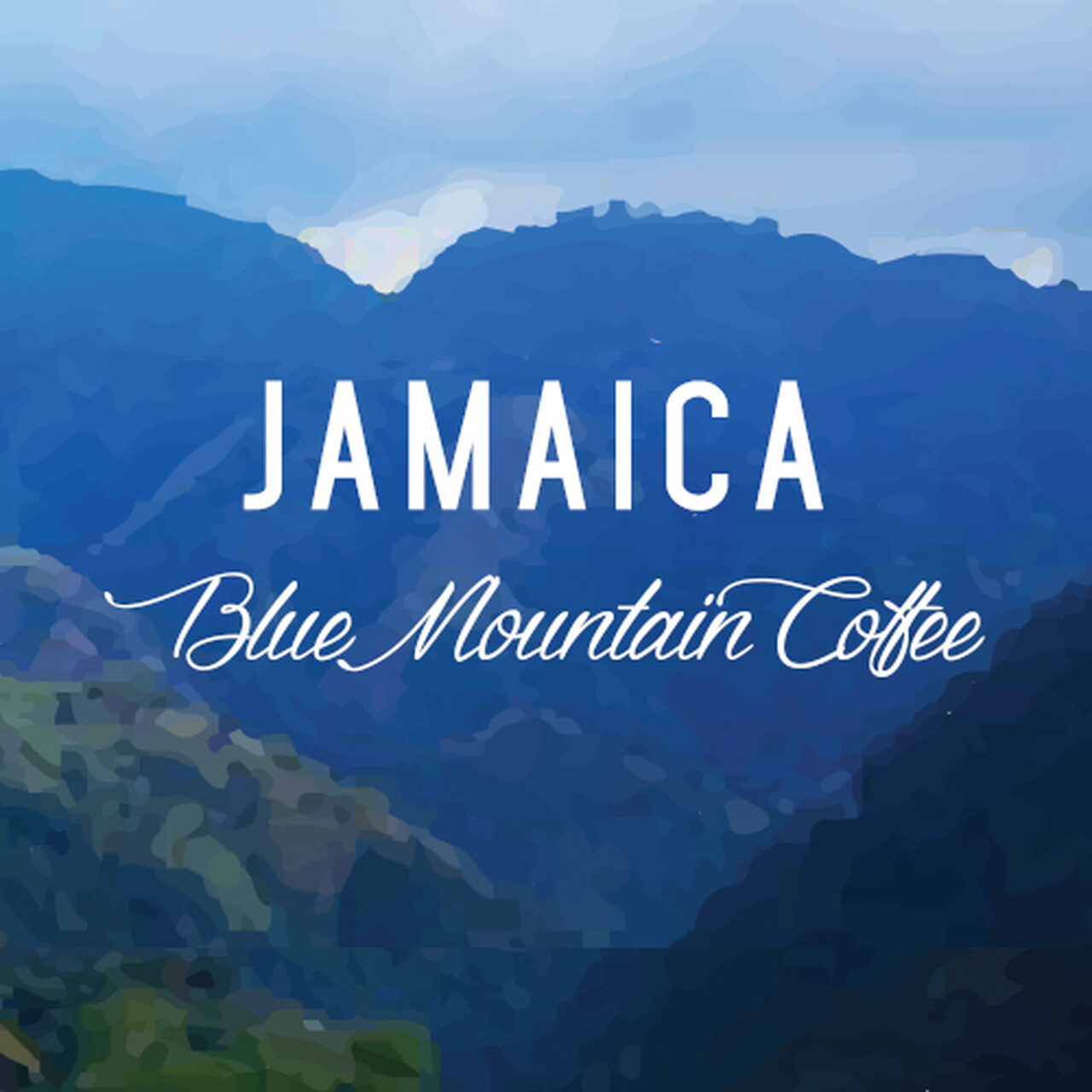100% Jamaican Blue Mountain Coffee Beans Medium Roasted 5 Pounds in 1 Pound Bags