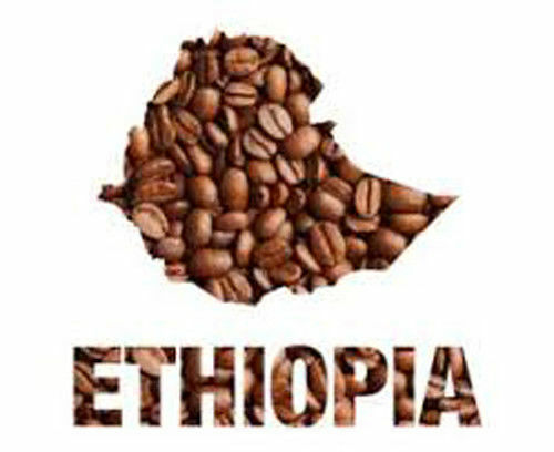 2, 5, 10 LB ETHIOPIA SIDAMO FRESH ROASTED COFFEE WHOLE BEAN, GROUND – ARABICA