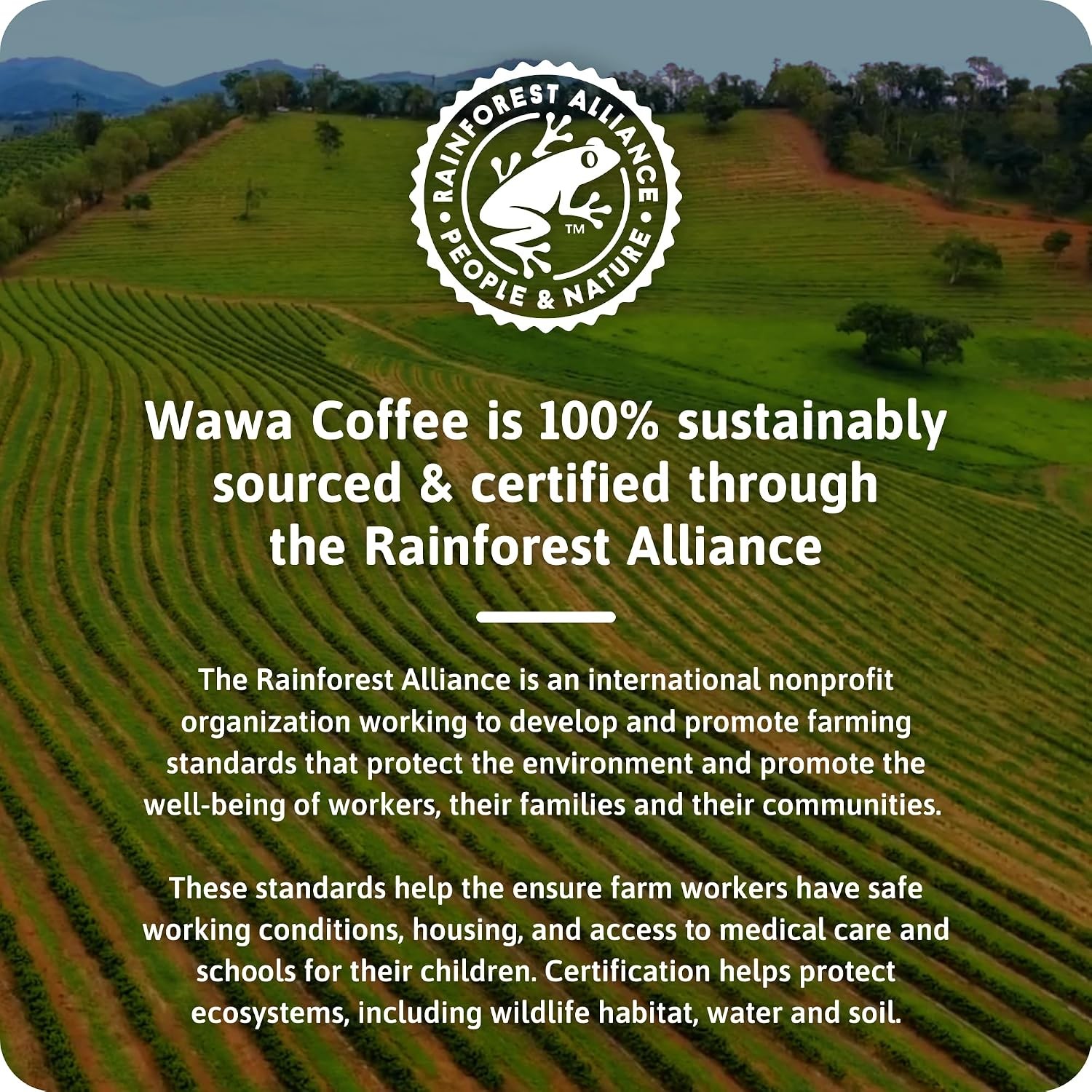 Wawa Mild Roast Single Cup Coffee Pods, 12 Pods, 1 Box, Regular Smooth &
