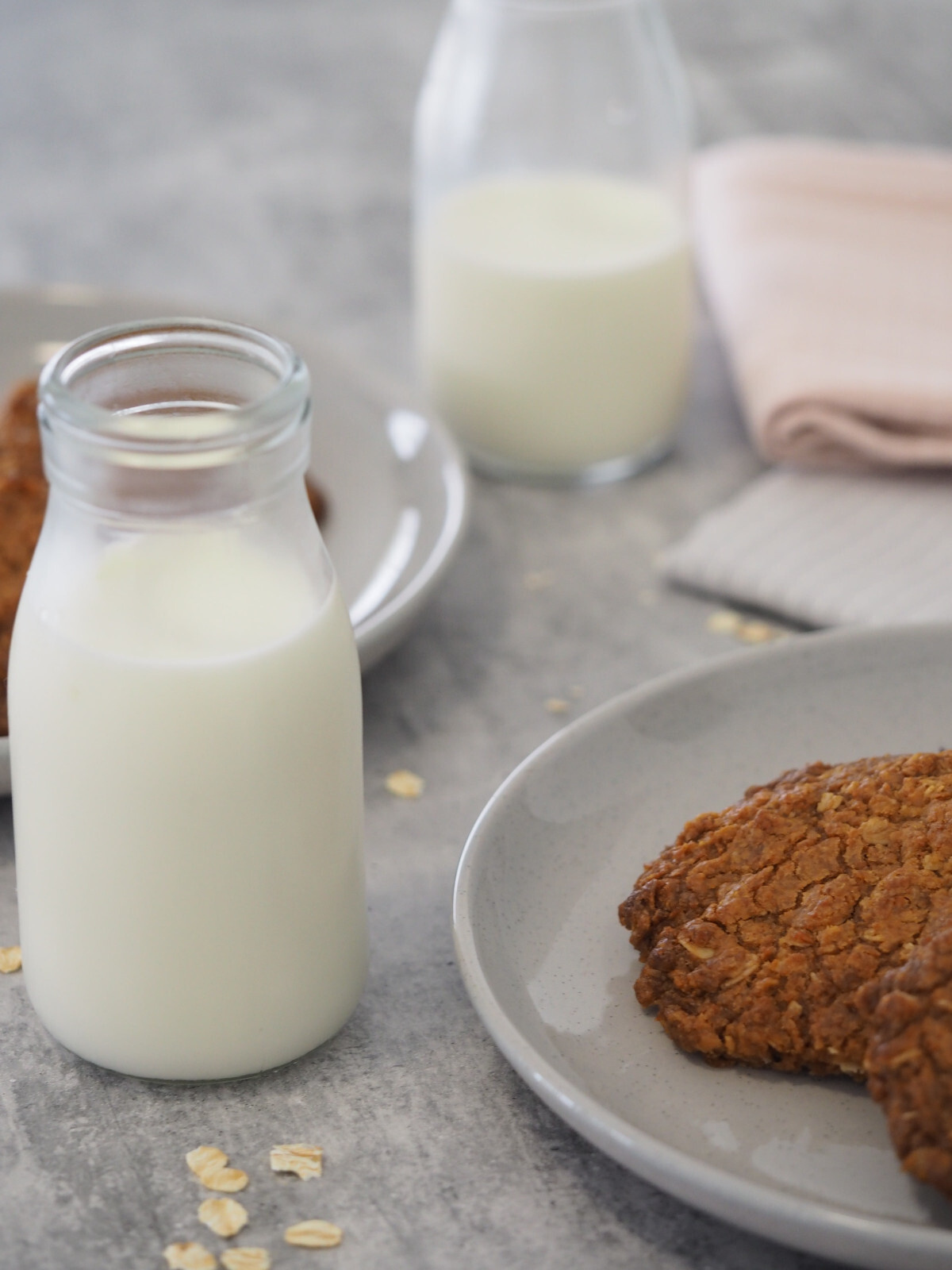Quality Powdered Non-Fat Dry Milk 1lb 2lb 3lb 4 lb – Manufactured in U.S.